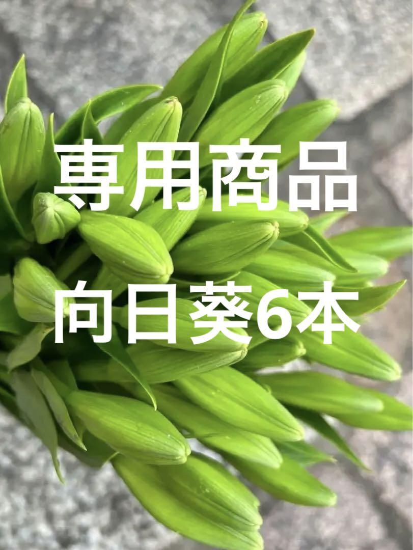 ✨【21】生花　鉄砲百合　アレンジ　花束　お盆花　テッポウユリ　10本